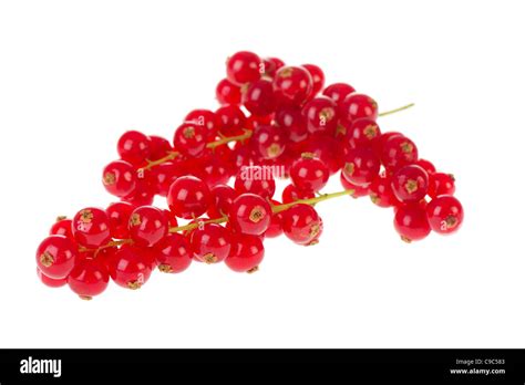 Bunch Of Red Currants Isolated Over White Background Stock Photo Alamy