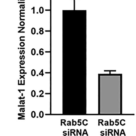 Chloroquine Rescues The Reduced Efficacy Of Ps Aso Caused By