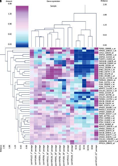 Figure From Gene Expression And Pathway Analysis Of Ctnnb In Cancer