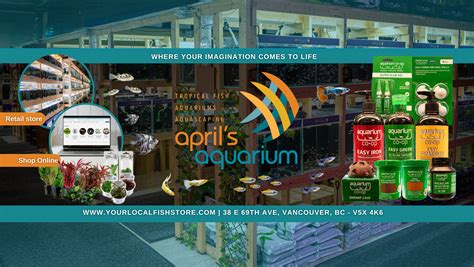 Discount Dragon Aquarium Added Discount Dragon Aquarium