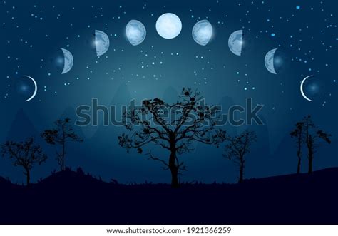 Cartoon Moon Phases Whole Cycle New Stock Vector (Royalty Free ...