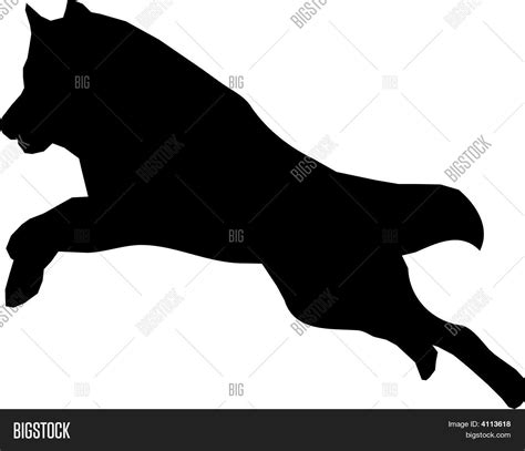 Running Wolf Vector & Photo (Free Trial) | Bigstock