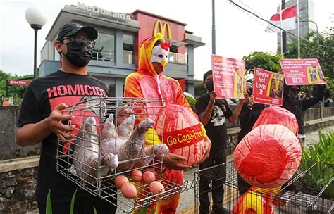 Aktivis Afj Gelar Demo Di Mcdonald S Sudirman Jogja Desak Komitmen