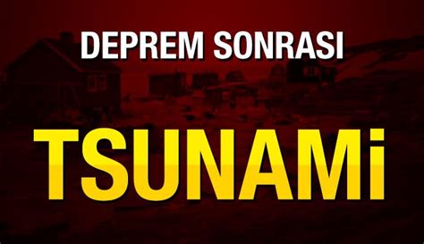 Deprem sonrası Grönlandı tsunami vurdu