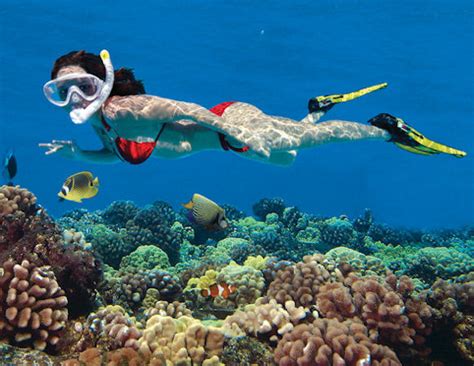 Awesome Adventures Concierge Services Key West Snorkeling Morning Trip