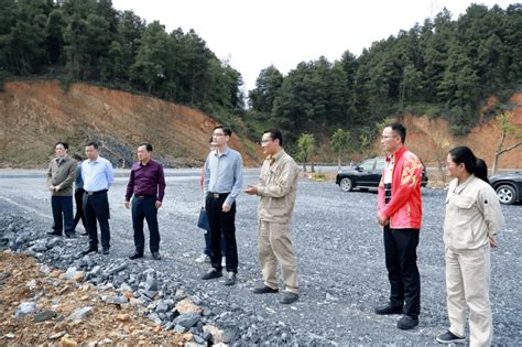 自治区财政厅调研组到河池市开展工业交通资金使用情况调研建设项目南丹县