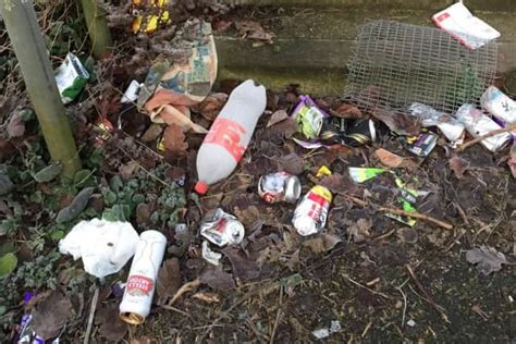 Parents Should Teach Children Not To Litter On Post Apocalyptic