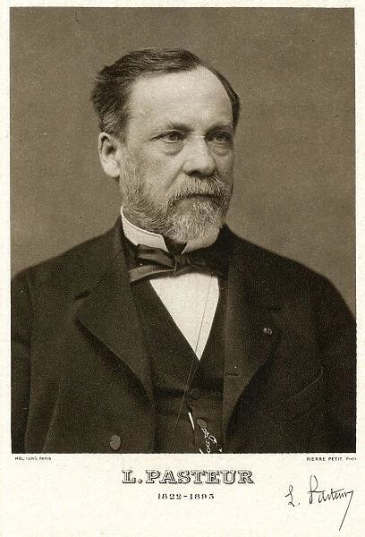 Louis Pasteur 1822 1895 French Chemist Available As Framed Prints