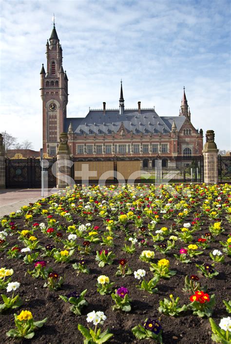 Peace Palace The Hague Stock Photo | Royalty-Free | FreeImages