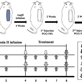 Schematic Representation Of The Study Design Created In Powerpoint