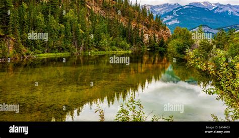 Jasper National Park; Alberta, Canada Stock Photo - Alamy