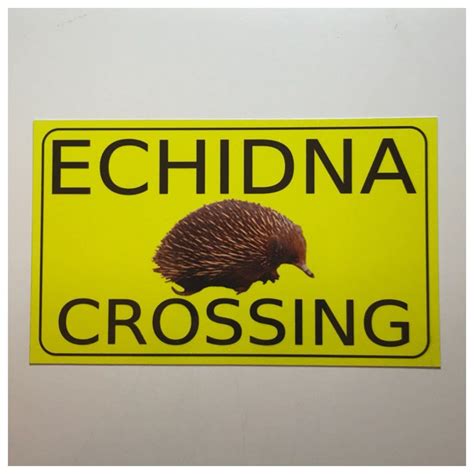 Echidna Crossing Sign The Renmy Store Crossing Sign Hanging Signs