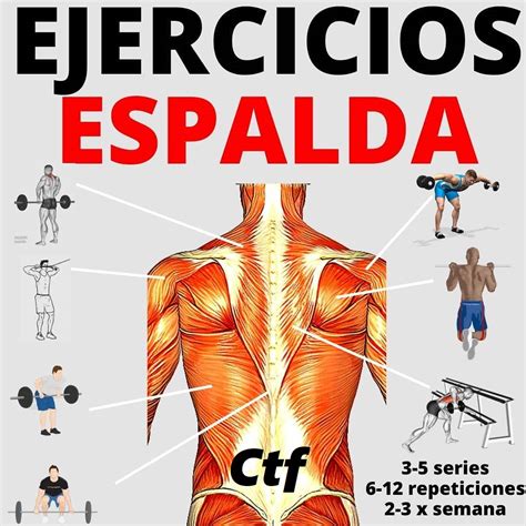 Ejercicios De Espalda Cambiatufisico Blog