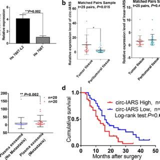 Circ IARS Highly Expressed In Pancreatic Cancer Is An Independent