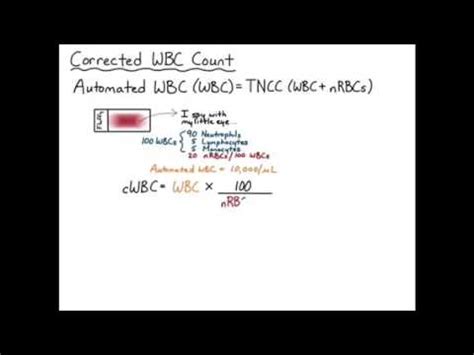 Manual White Blood Cell Count Formula