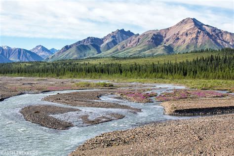 Denali Park Road Travel Guide Things To Do Map Photos Itineraries