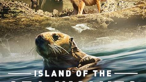 Island Of The Sea Wolves Tv Series Episode List Imdb