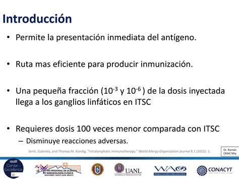 Inmunoterapia Sublingual E Intralinf Tica Ppt