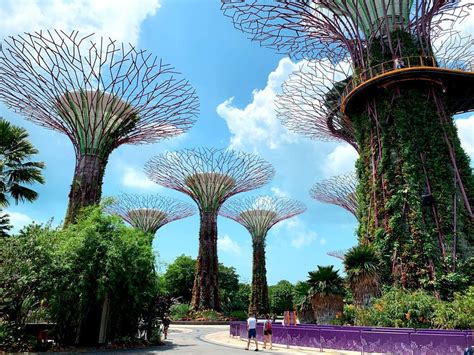 Top 10 Places To Visit In Singapore For First Time Travellers