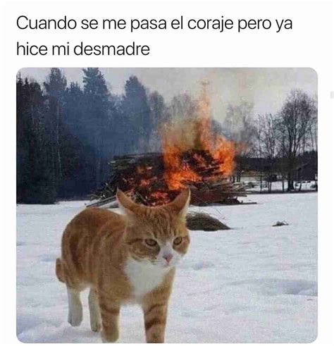 Cuando Se Me Pasa El Coraje Pero Ya Hice Mi Desmadre Memes