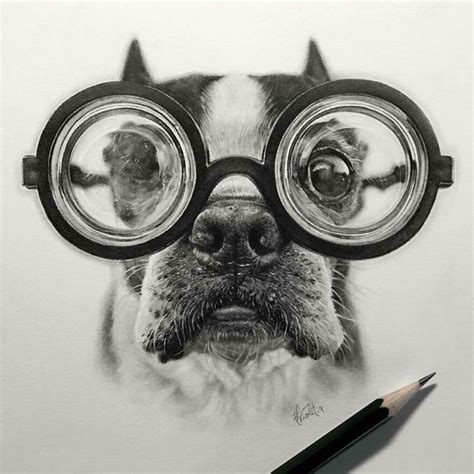 Realistic Animal Pencil Drawings