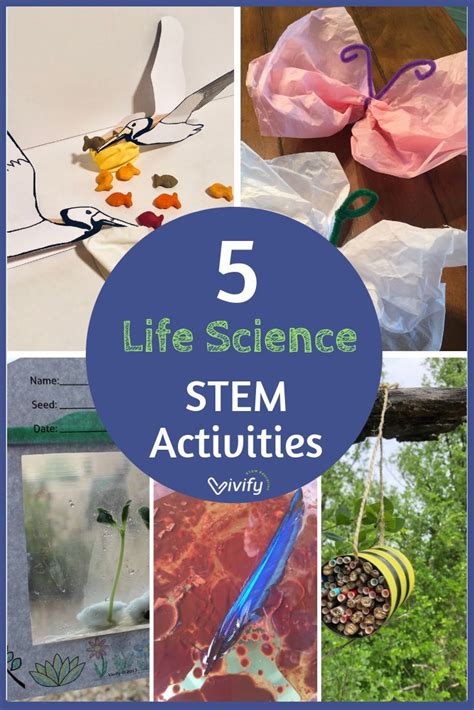 5 Life Science Stem Activities For Elementary — Vivify Stem Life Science Stem Life Science