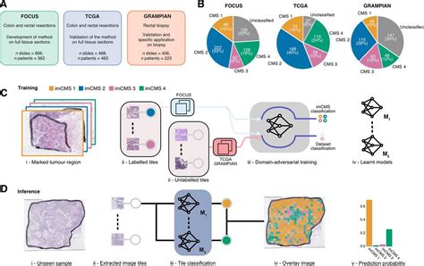 Image Based Consensus Molecular Subtype Imcms Classification Of