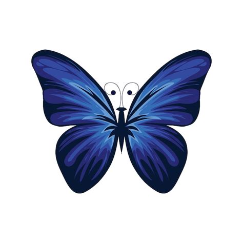 Premium Vector A Blue Butterfly With A Black Outline And The Word