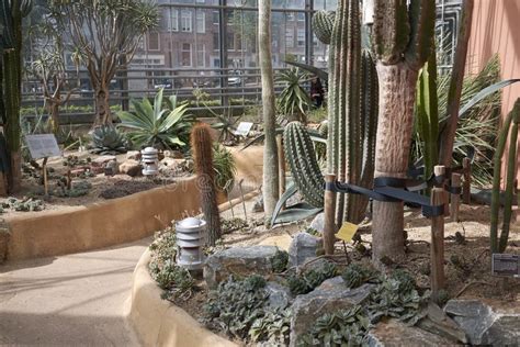 Amsterdam botanical garden editorial photography. Image of desert ...