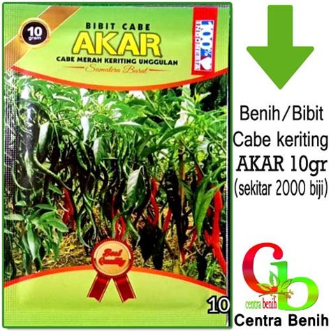 Jual Benih Cabe Keriting Akar Gr Bibit Cabe Keriting Di Lapak