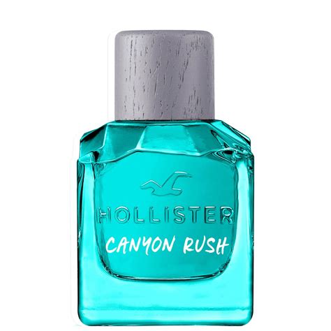 Hollister Canyon Rush For Him Eau De Toilette 100ml LOOKFANTASTIC