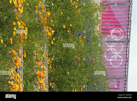 Scenes And Signage From The 2012 London Olympic Park Sunday July 29