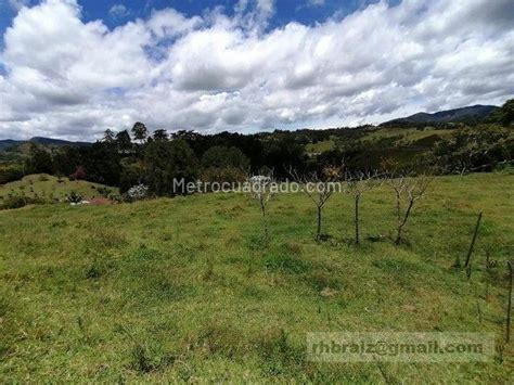 Venta De Lote O Casalote En Aeropuerto Rionegro M