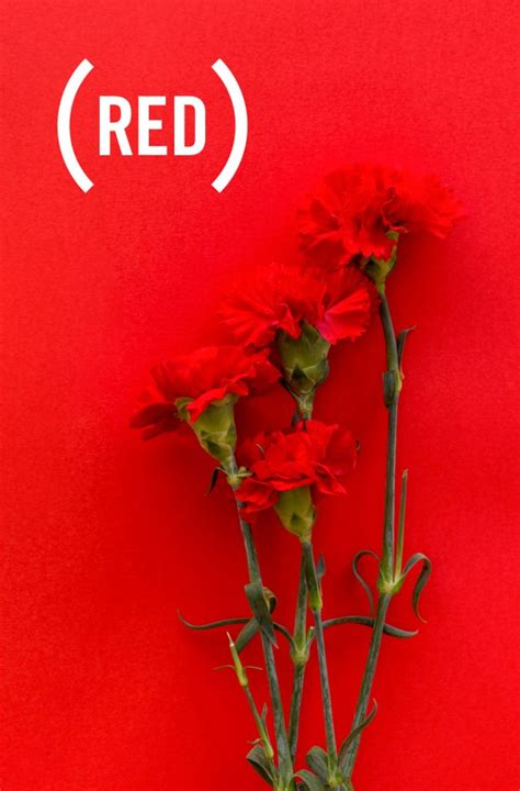 Red Color Meaning: Symbolism and Interpretations - Top 5 Opinions