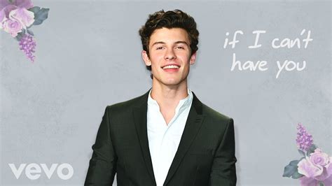 Shawn Mendes If I Cant Have You Lyrics Official Audio Youtube