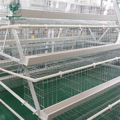 A Type 4 Tier Pvc Coated Hen Layer Cage For Chicken Farm In Ghana Chicken Layer Cage And Layer