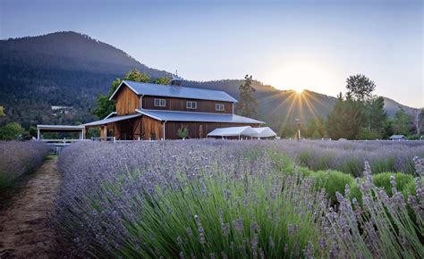 Applegate River Lavender Farm Travel Oregon