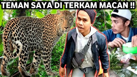 Mukbang Di Hutan Teman Aku Di Terkam Macan YouTube