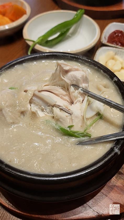 경복궁삼계탕 목동점 목동맛집 양천구맛집 서울맛집 들깨삼계탕 삼계탕맛집 내돈내산맛집 목동현대41타워맛집