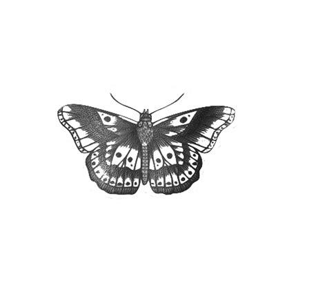 other awesome transparents - Mijn site
