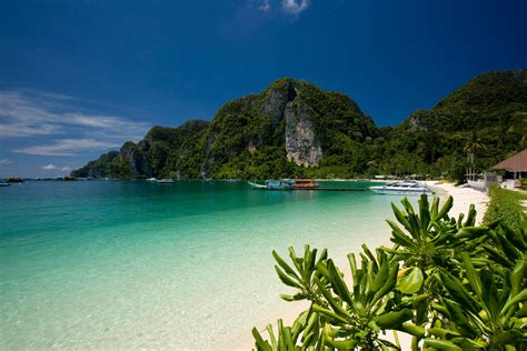 Thing to do in Koh Phi Phi islands