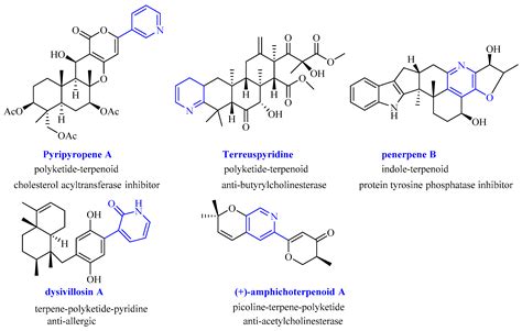 Acetylcholinesterase Chemical Structure