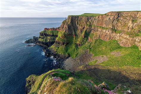 Picture Ireland Giants Causeway Ocean Cliff Nature Coast