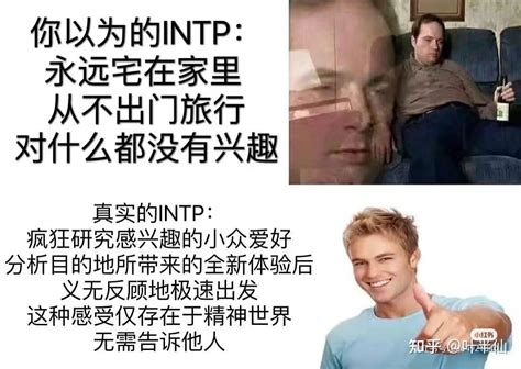 Intp梗图一览 知乎