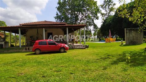 Fazenda Venda No Par Castanhal Ha Agroportal