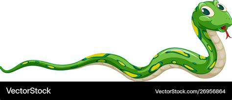 Green snake on white background Royalty Free Vector Image