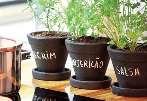 Dicas Para Plantar Em Casa Plante Qualquer Tipo De Erva Ou Planta Dr