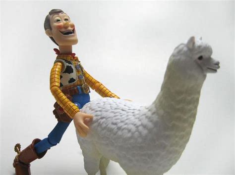 Woody is fucking a lama Your argument is invalid Hentai Woody 変態ウッディー Know Your Meme