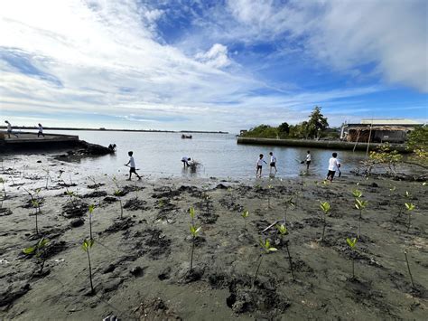 Sasmuan Youth Plant Mangroves To Preserve Protect Wetlands Iorbit