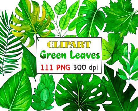 111 Png Green Leaves Stickers Sheet Green Leafs Stickers Design For